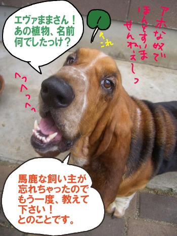 ちなみに・・・.JPG
