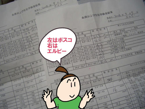 検査結果.JPG