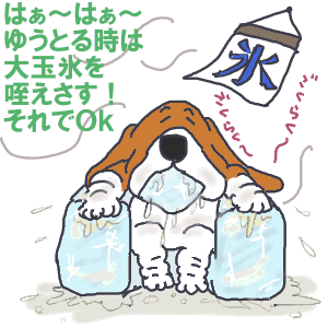 暑い日は氷を食うべしgif