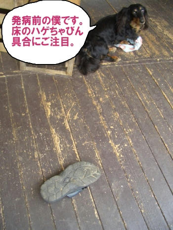 塗る前は・・・.JPG
