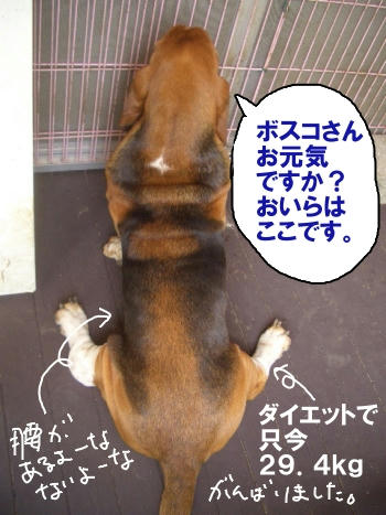 塗った後.JPG