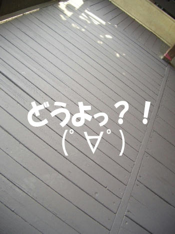 どやさ？.JPG