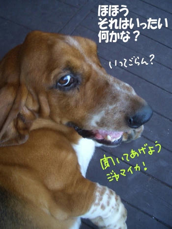 言ってみ.JPG