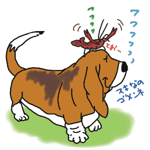 ザリガニ男.gif