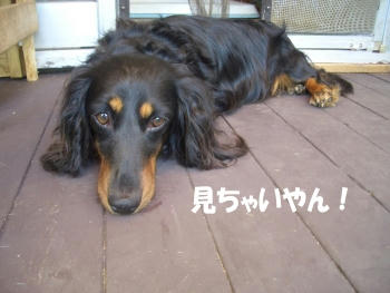 ef6b76d6.JPG