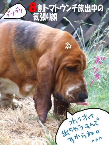 うんち気張ってます.JPG