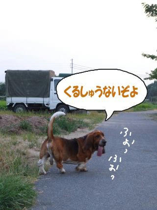 散歩でヤッホー.JPG