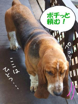 押してね！.JPG