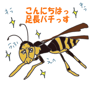 足長蜂.gif