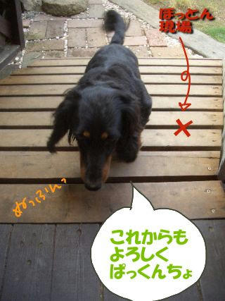 よろしくねん.JPG