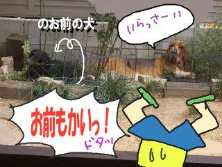 おまえもかい.JPG