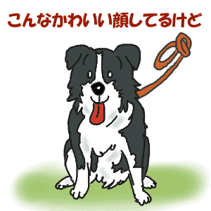 表の顔は.gif