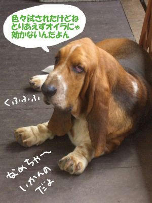 無駄なのよん.JPG