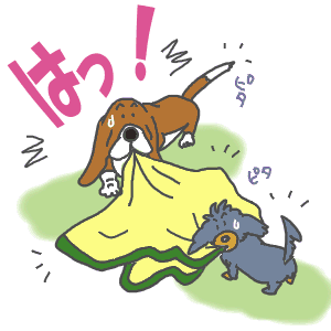 6.gif