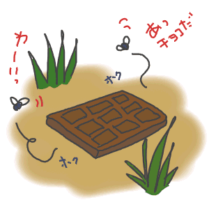 8.gif