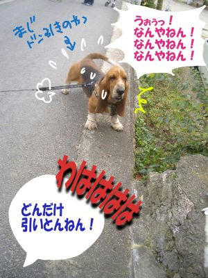 ドン引き野郎.JPG