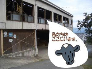 なせに２階の牛舎なの？b.JPG