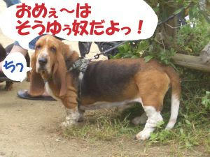 うらめしや.JPG