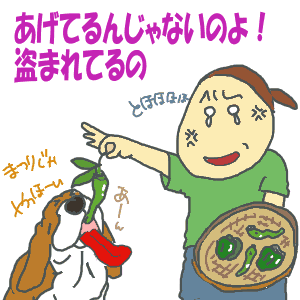 40331f07.gif