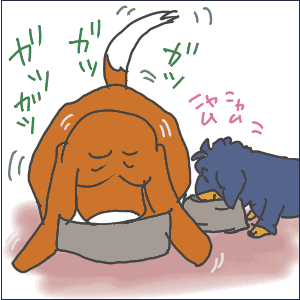 1-2.GIF