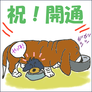 祝！開通.gif