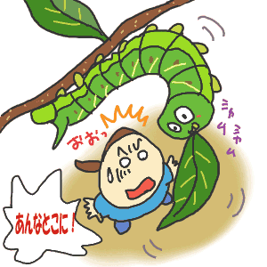 発見！.gif