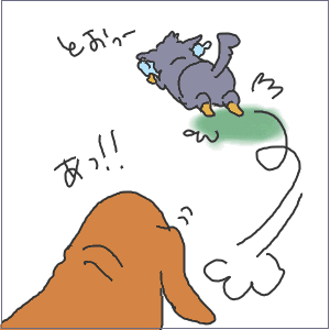 sono6.GIF