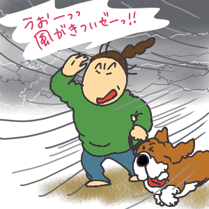 k-1.gif