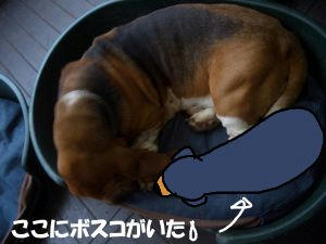 98c58a5b.JPG