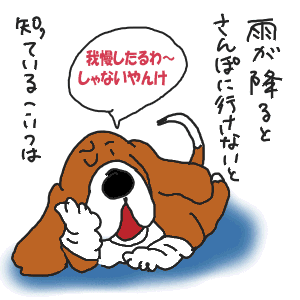 a926447b.gif
