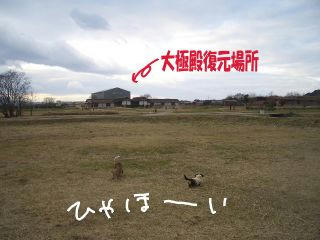 3772a28f.JPG