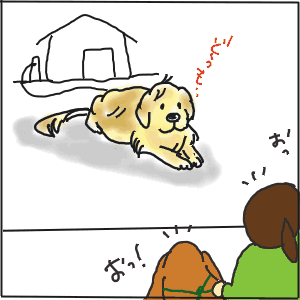 3-21.gif