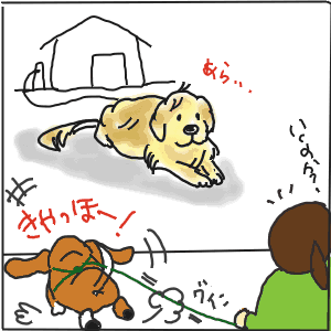 3-3.GIF