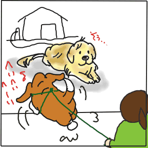 3-5.GIF