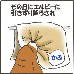 4-2.gif