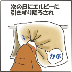 4-5.GIF