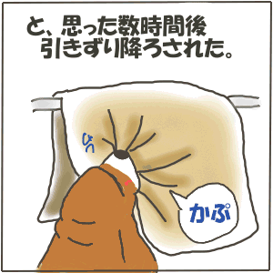 4-9.GIF