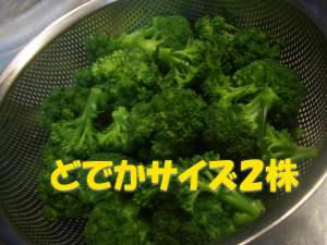 3715b2f0.JPG