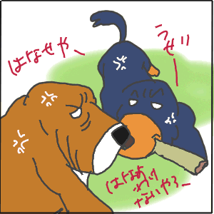 12-2.GIF