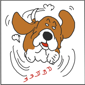 13-9.GIF