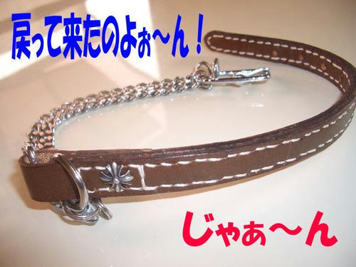 487f5e08.JPG