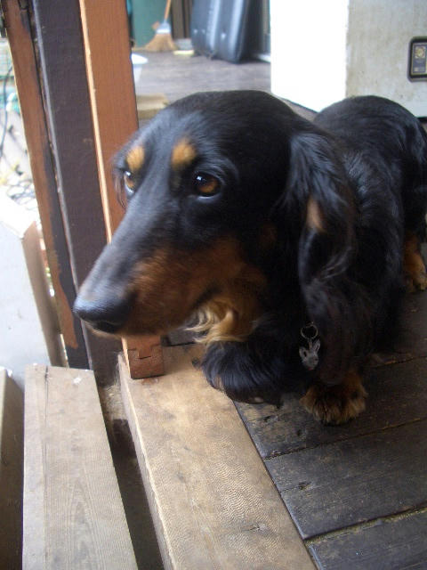 ab4bd972.JPG