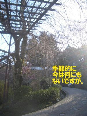 214eb5d9.JPG