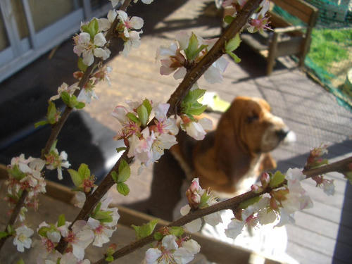 04053f2d.JPG