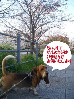 59a8db38.JPG