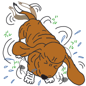 34-3.GIF