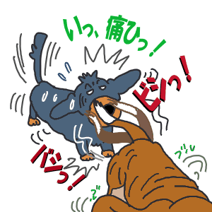 34-4.GIF