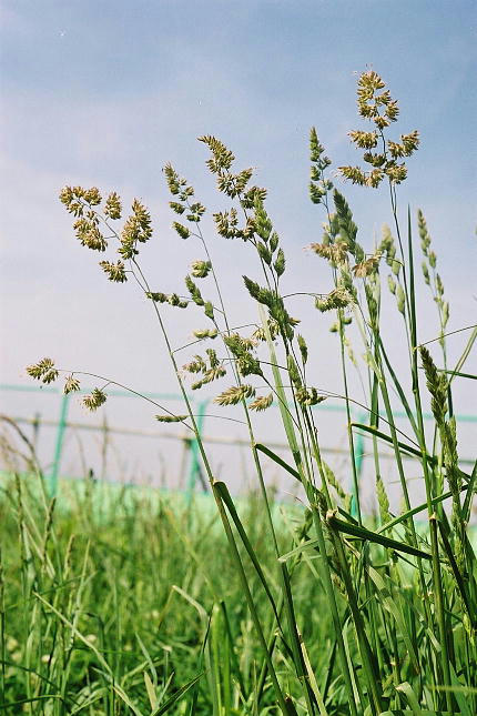 img97.jpg