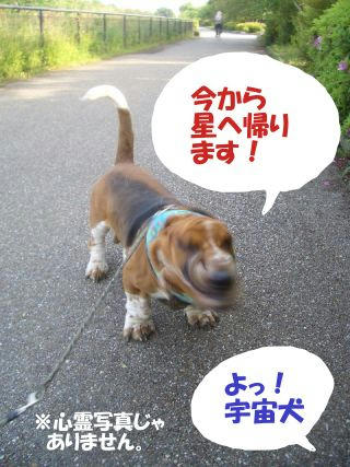 9df07003.JPG