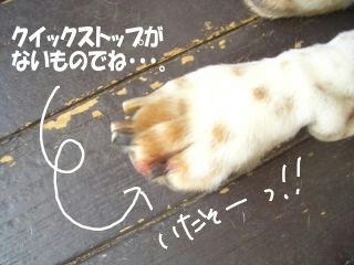 25fb9f85.JPG